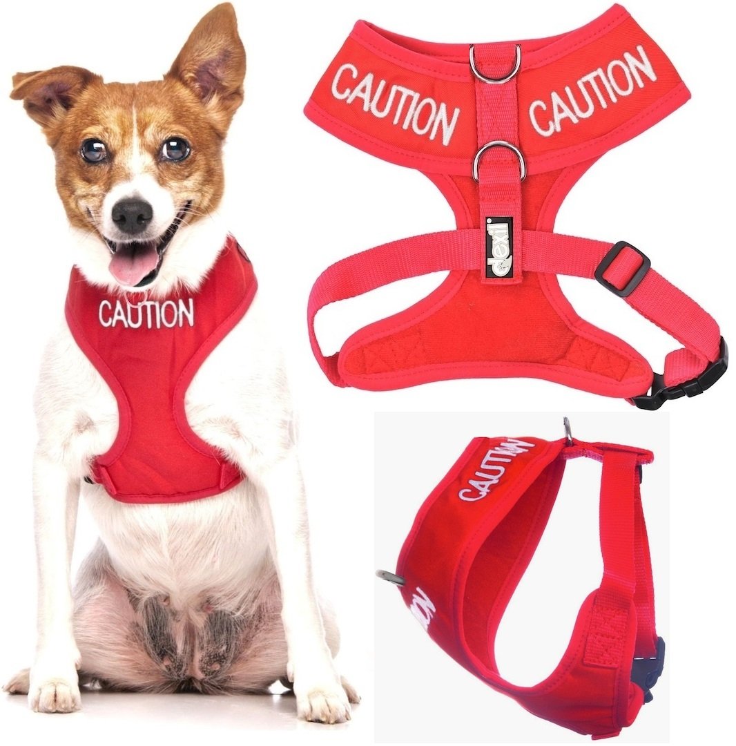 Dexil CAUTION (Do Not Approach) Red Colour Coded Non-Pull Front and Back D Ring Padded and Waterproof Vest Dog Harness PREVENTS Accidents By Warning Others Of Your Dog In Advance (S) โ image 1