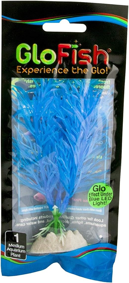 Amazon Com Glofish Fluorescent Plant Blue Medium Aquarium