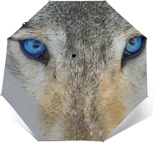 Automatischer Dreifach Gefalteter Regenschirm Personalisierte