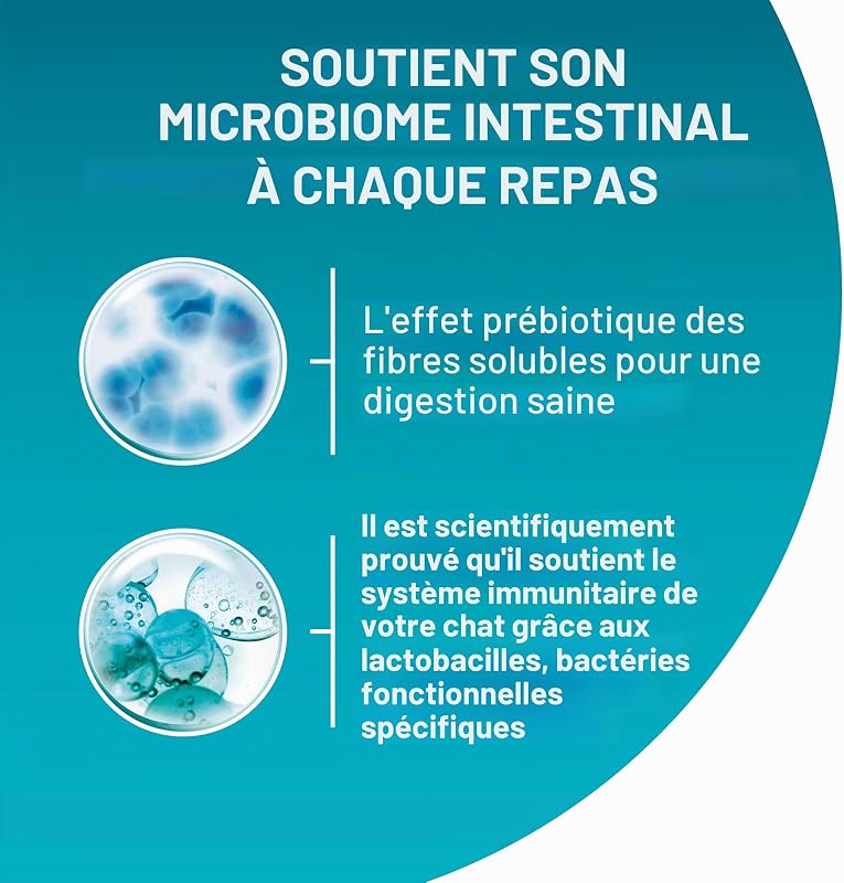 Single Serve - Junior - Poulet - 4x85g