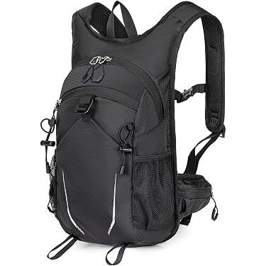 backpack fits 16 inch laptop HP Everyday Carrying Case (Backpack) for 16" to 16.1" Notebook