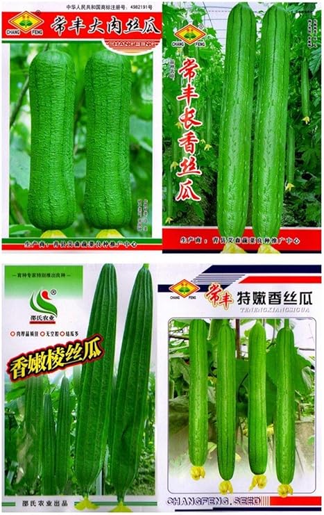 Shoopy Star Okra 40 Seeds Autumn Spring Vegetable Seeds Non Gmo Balcony Colorful Retail Package Azÿe Ae C Ae E Eœc A Amazon Ca Beauty