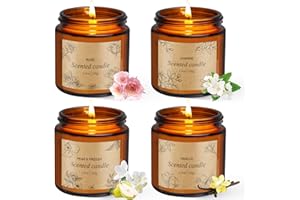 Scented Candles Gifts Set for Women Men, 4 Pack Aromatherapy Candles for Home, Soy Wax Long Lasting Candle, Small Jar Candle 