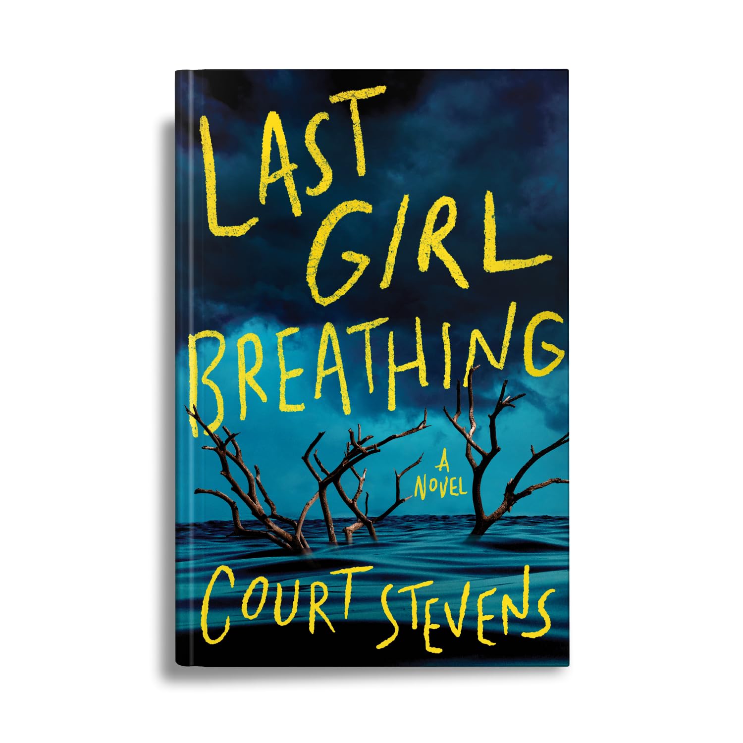 Last Girl Breathing: A Novel