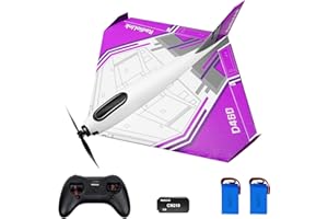 Radiolink D460 Ready to Fly (RTF) RC Airplane with Byme-DB Gyro FC, 3 Flight Modes, Brushless Motor 15A ESC Plane, T8S Transm