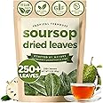 TROPICAL TEAHOUSE 250+ Soursop Dried Leaves, 3oz Premium Graviola Leaves, 100% Pure Guanabana Leaves, Handpicked, Gluten Free, Caffeine Free, Sugar-Free