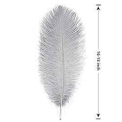THARAHT Gray Ostrich Feathers 12pcs Large Natural