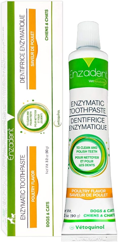 enzymatic toothpaste