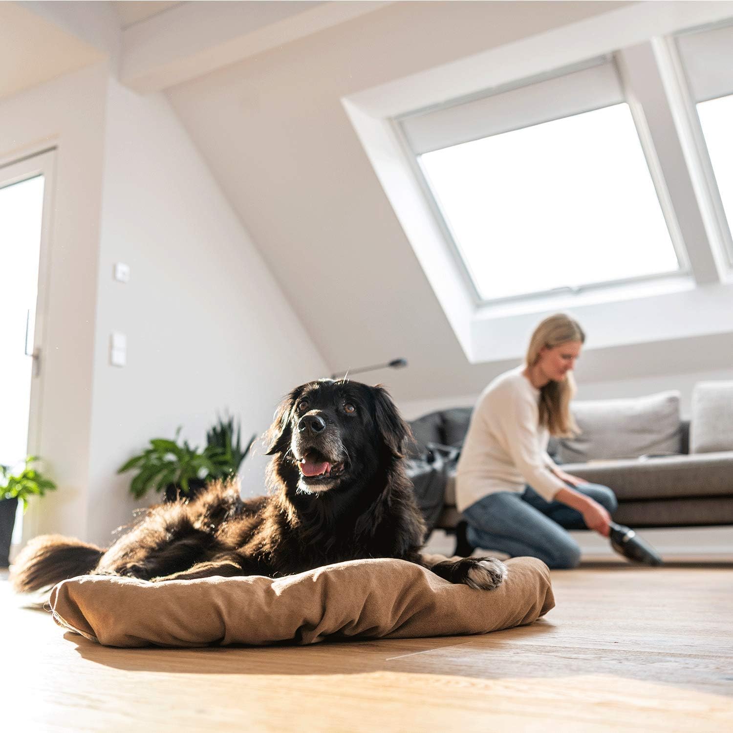 Bosch YOUseries Cordless Vacuum Cleaner YOUseries Vac (Without Battery