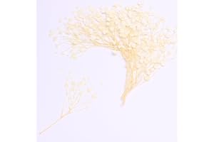 LYFORTZY 30 Pcs Pure White Natural Baby's Breath Real Dried Pressed Flowers ,for Scrapbooking Supplies Card Making Supplies Resin Jewelry Making Soap and Candle Making.