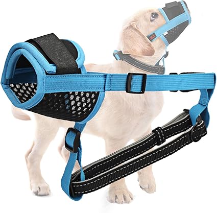 using a muzzle to stop biting