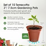 Whitefurze G04012 7.5cm Garden Pot Terracotta Set of 10 view 2