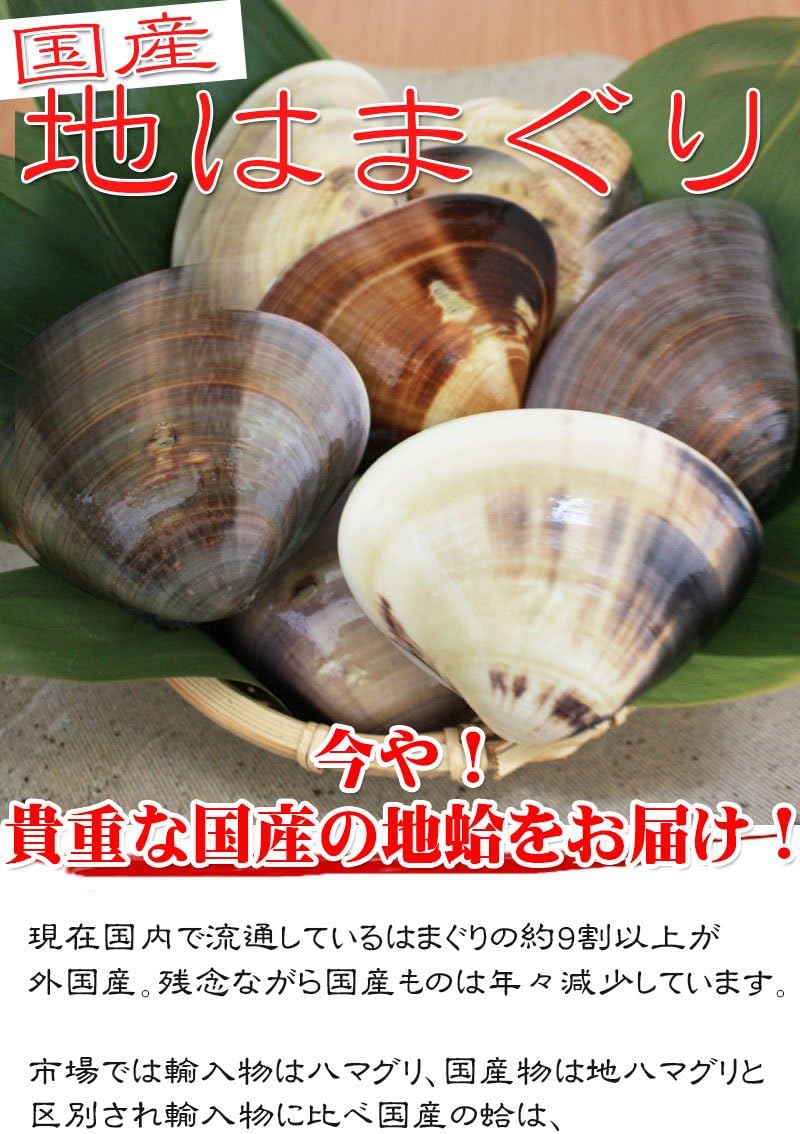 Amazon 千葉県産 国産はまぐり 約1キロ はまぐり 蛤 鮮魚 通販