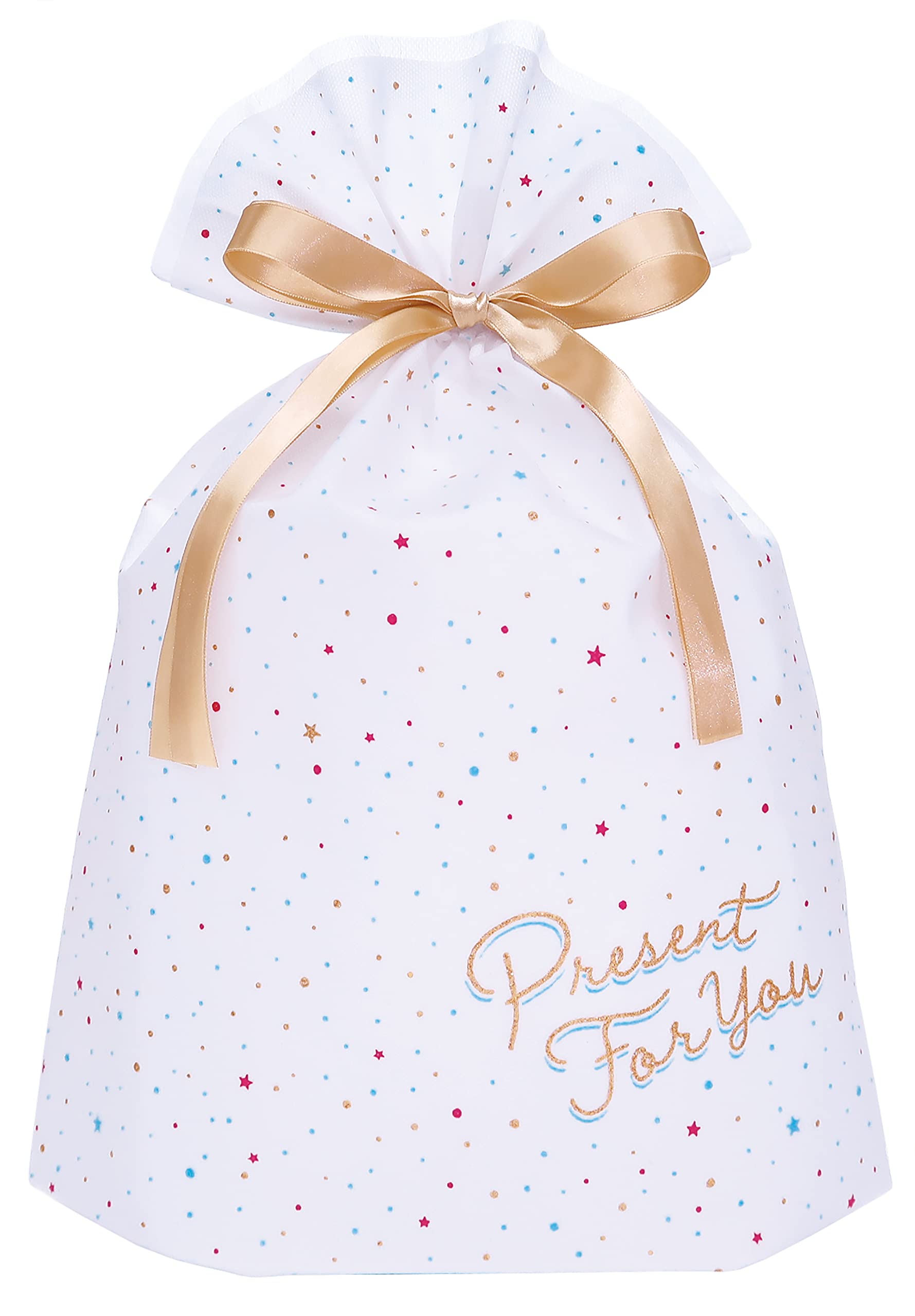 インディゴ ラッピング袋 メッセージバッグL フォー・ユー/ドット ホワイト PG387商品画像