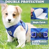 Anlitent Soft Mesh No Pull Cat Harness and Lead Set Blue Small view 3