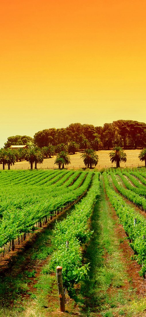 PeelitStickit, Beautiful Nature Wall Murals, ID-0831, vinyl