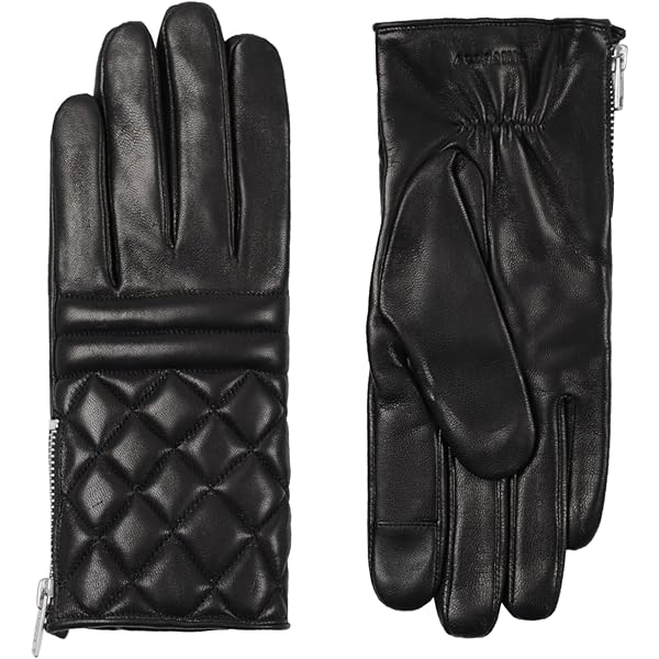 Amazon.com: AllSaints Men's Leather Gloves with Side Zip