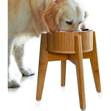 Amazon Best Sellers: Best Dog Raised Bowls