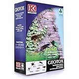 Antiformiche Antiformiche