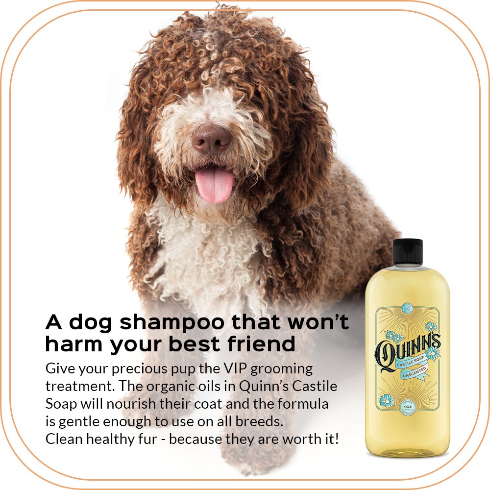 Quinn’s Pure Castile Organic Liquid Soap, 32 ounce (Unscented) : Beauty