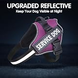 Belababy Soft No Pull Dog Harness Small Adjustable Reflective Purple view 6