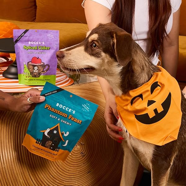 BOCCE’S BAKERY PHANTOM FEAST NATURAL SOFT & CHEWY HALLOWEEN DOG TREATS – WHEAT-FREE EVERYDAY COOKIES FOR DOGS, MADE WITH REAL INGREDIENTS & BAKED IN THE USA – CHICKEN & PUMPKIN FLAVORED (6 OZ BAG)