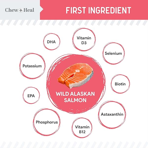 CHEW + HEAL LABS DOG SALMON JERKY FOR PUPPIES – 12 OZ OF WILD CAUGHT ALASKAN SALMON JERKY FOR PUPPY DEVELOPMENT WITH CHICKPEAS, CARROTS, SWEET POTATO, AND FRUIT – MADE IN THE USA
