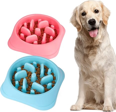 amazon slow dog feeder