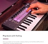 Novation FLkey Mini Portable 25-Key USB MIDI Keyboard Controller FL Studio view 2