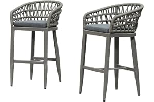 PURPLE LEAF Outdoor Rattan 29" Bar Stools Set of 2, Modern Boho Aluminum Patio Bar Height Chair with Cushion and Back for Garden Outdoor and Indoor, Smoke Grey