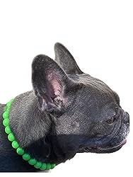 Dog Necklace