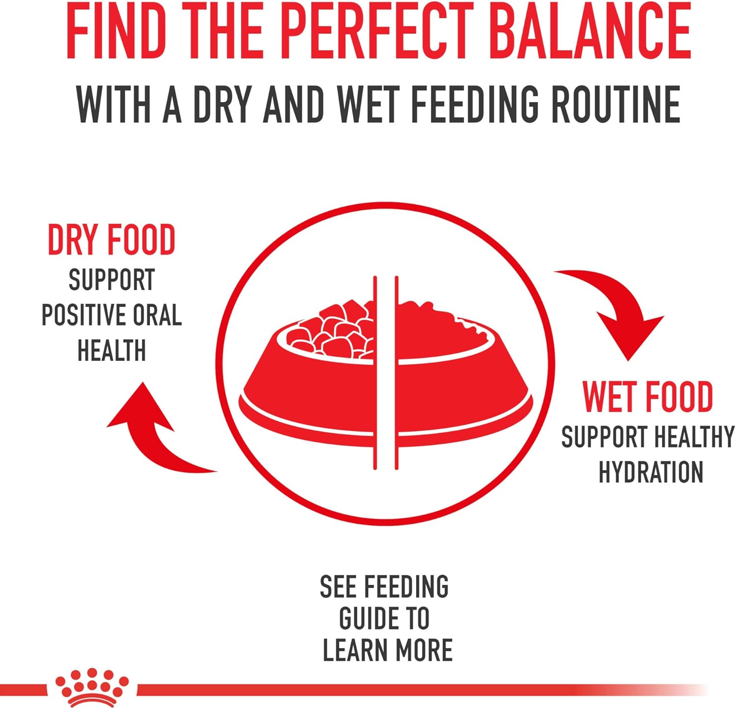 Royal Canin Feline Health Nutrition Kitten Thin Slices In Gravy Canned Cat Food, 3 Ounce Can (Pack of 24) : Canned Wet Pet Food : Pet Supplies