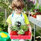 Augshy 75+ Pcs 4 Inch Nursery Pots Plastic Plant Pot Seed Starting Red view 6