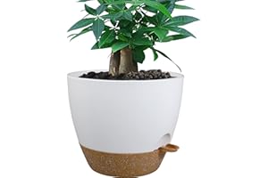 UOUZ 12 inch Large Self Watering Pots, Plastic Planters with 60oZ Removable Deep Reservoir and Multi Mesh Drainage Holes for Indoor Outdoor Garden Plants and Flowers, White with Brown