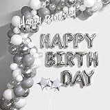 Kriovoa Silver Happy Birthday Balloons Banner Party Decorations Set view 6