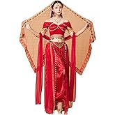 ZYSAMME Women's Belly Dance Halloween Performance Costumes Aladdin Jasmine Princess Dress 4 Piece Outfit