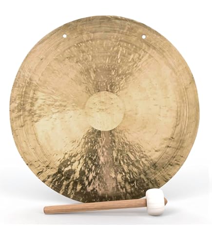 【専用①】The Wind Gong 22インチ 22