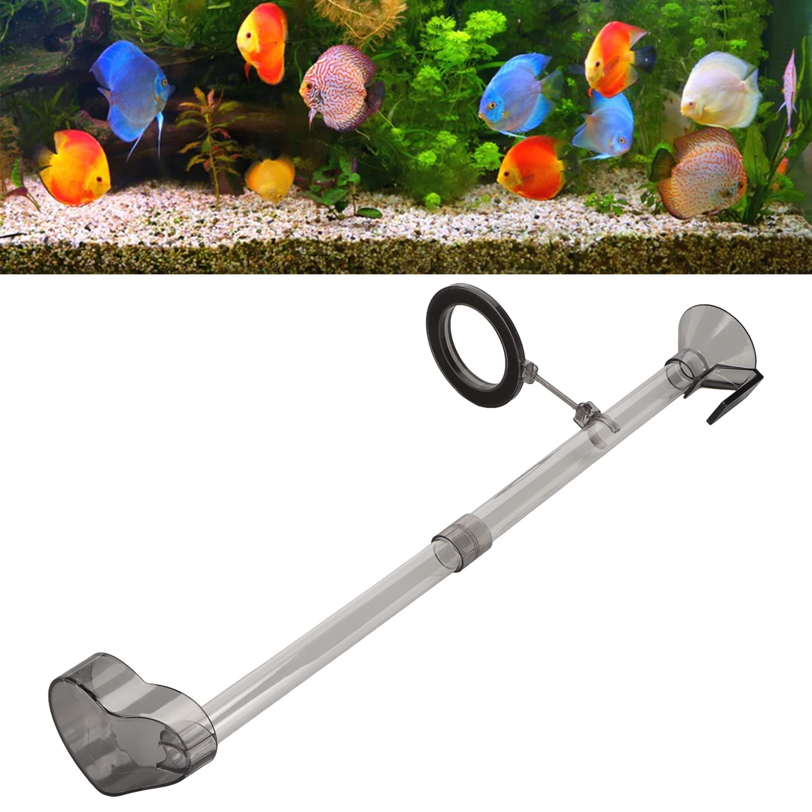 Tnfeeon Fish Shrimp Feeder Tube and Plate Set, Multi-Functional Plastic Fish Shrimp Feeder with Bowl for Aquarium