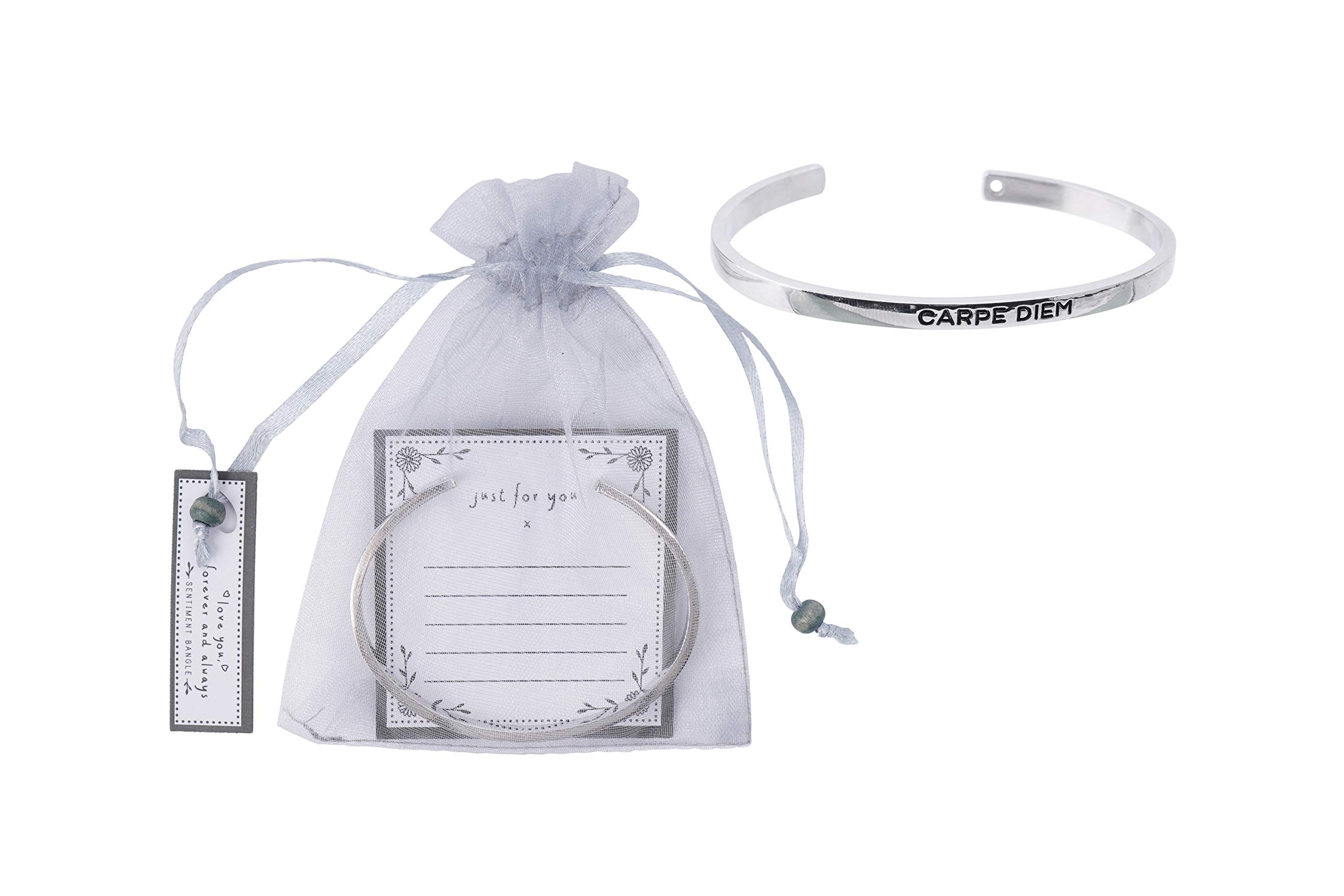 CGB Giftware | Sent and Meant 'Carpe Diem' Engraved Silver Colour Bangle Bracelet in Organza Gift Bag with Gift Card | GB04617