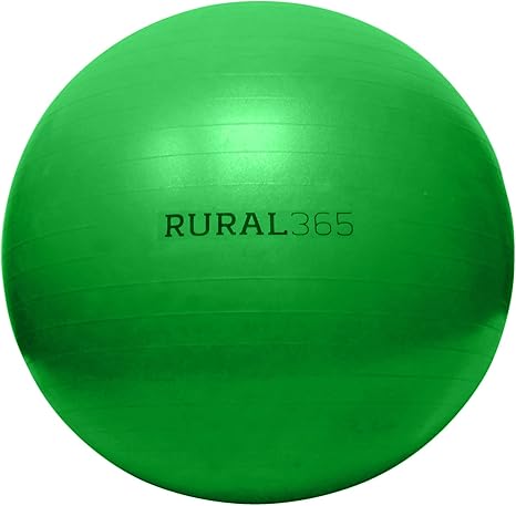 Large Horse Ball Toy in Green 