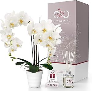 Artificial Orchid Preserved Flowers for Delivery Prime - Lifelike Fake Orchid Plant in Pot - Faux Orchid Flower Gift - Fake Orchids Artificial Flowers with Vase in Beautiful Flower Gift Box with Bonus