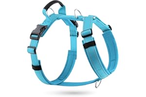 APakBak No Pull Dog Harness with Handle, Soft Mesh Padded Adjustable for Small Medium Large Dogs | Reflective Easy Walk Harne
