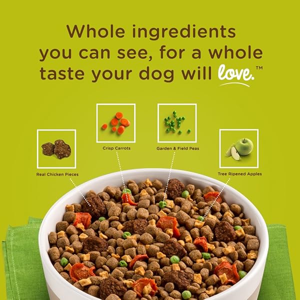 RACHAEL RAY NUTRISH DISH PREMIUM NATURAL DRY DOG FOOD, BEEF & BROWN RICE RECIPE WITH VEGGIES, FRUIT & CHICKEN, 3.75 POUNDS