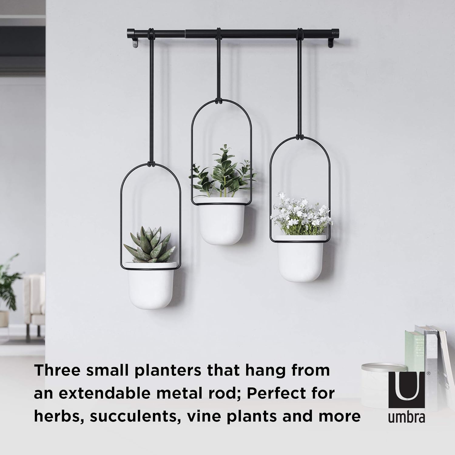Umbra Triflora Hanging Planter for Window, Indoor Herb Garden, White/Black, Triple: Home & Kitchen