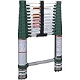 Xtend & Climb Pro Series 780P+ Telescoping Ladder, Green