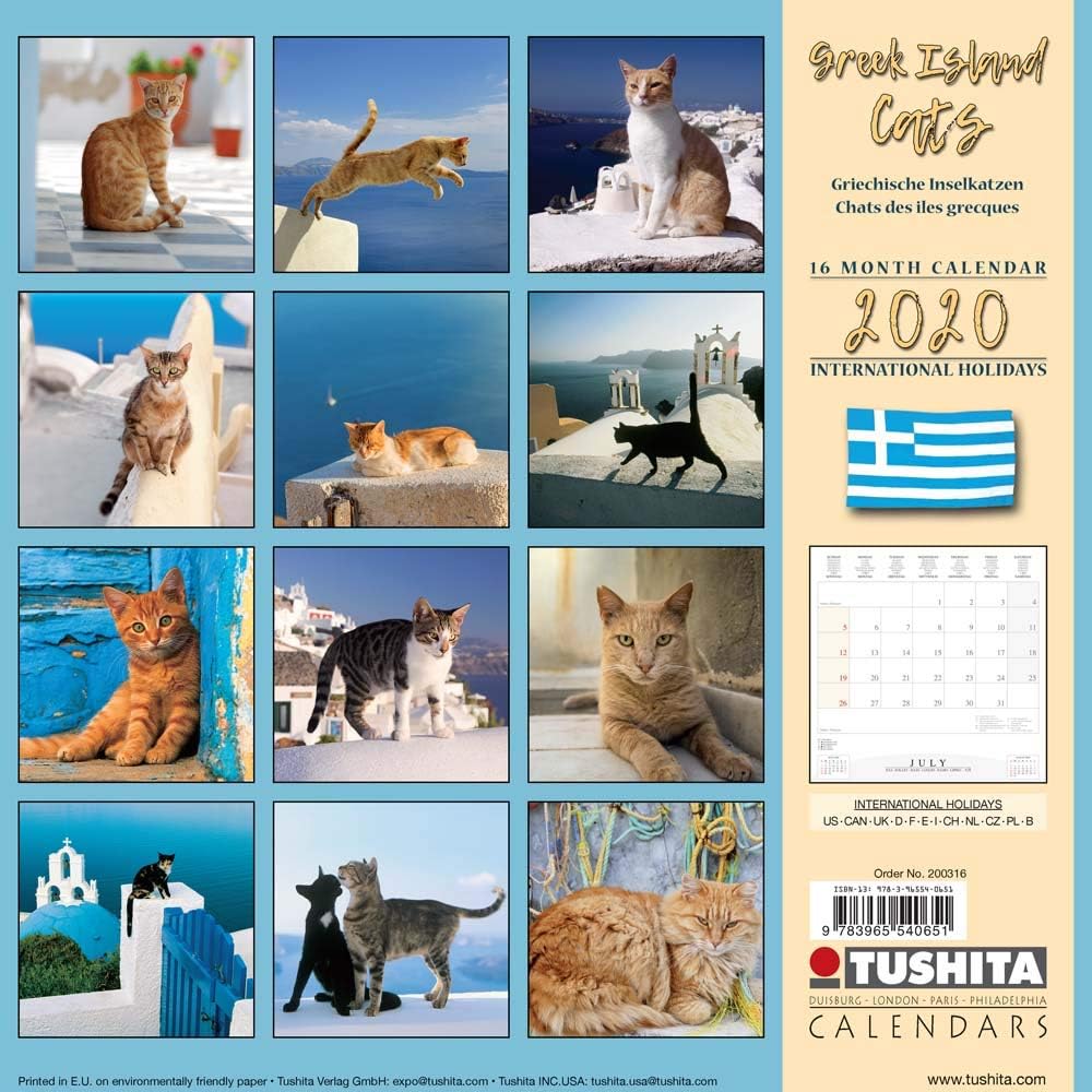 Grece Iles Grecques Calendrier Chats Et Chatons Des Iles Grecques Ts Tigre Roux Et Blanc