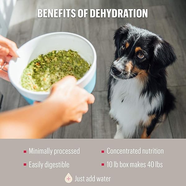 THE HONEST KITCHEN HUMAN GRADE WHOLEMADE™ DEHYDRATED DOG FOOD, GRAIN FREE TURKEY DOG FOOD, 2 LB BAG