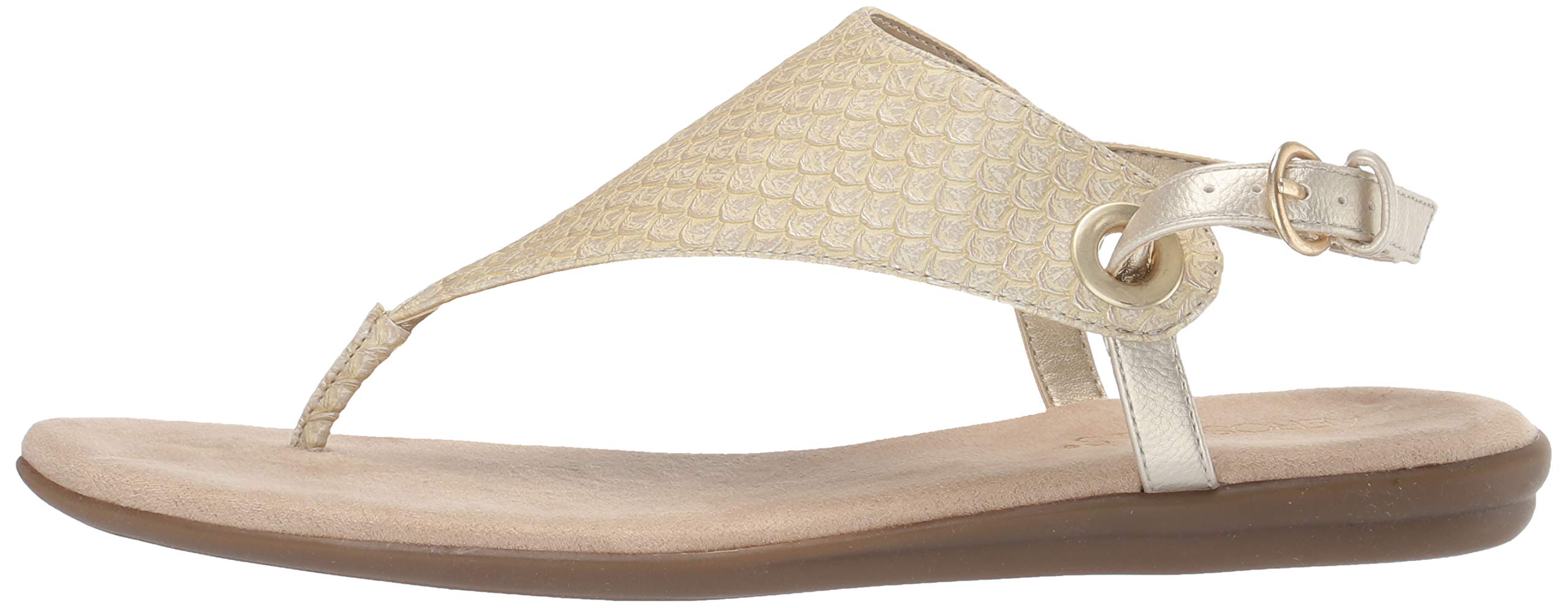 aerosoles conchlusion tan gladiator sandals