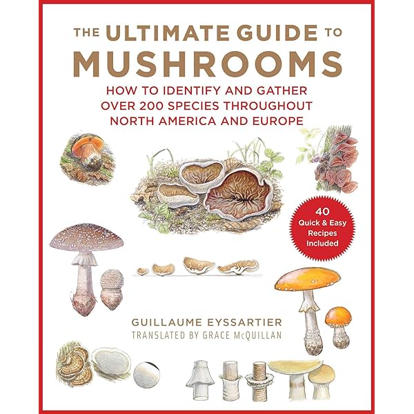 洋書 Mushrooms Mushrooms and Other Fungi of Great Britain