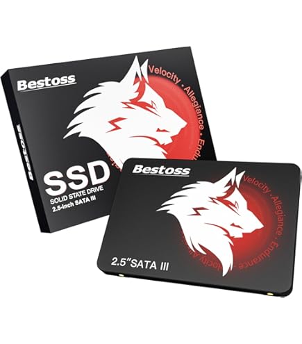 Amazon.com: KIOXIA EXCERIA SATA SSD 960GB - 2.5” Serial ATA (SATA